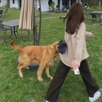 长剑风云第二季粤语封面